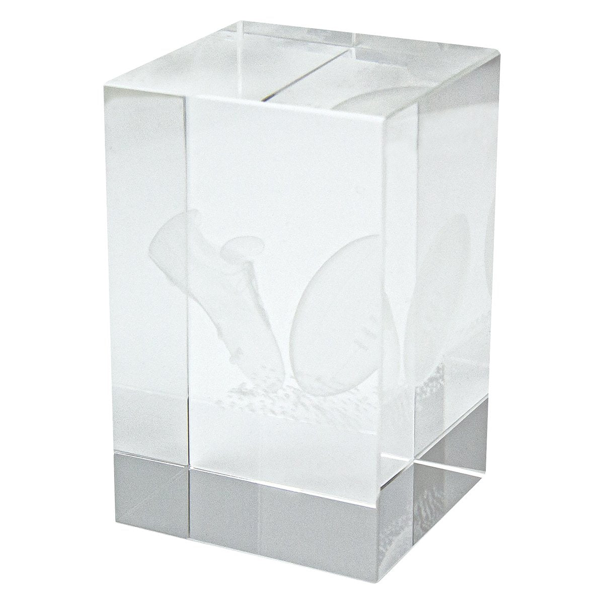 Crystal Block Award