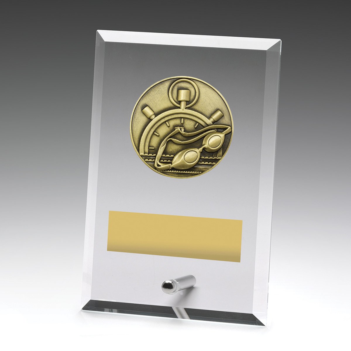 Glass Plaques – Swim
