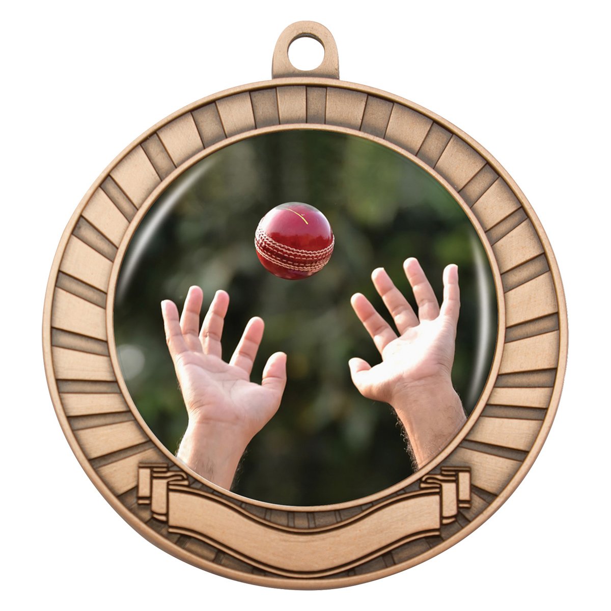 Eco Scroll – Fielding