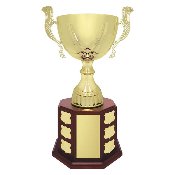 Ensign Cup