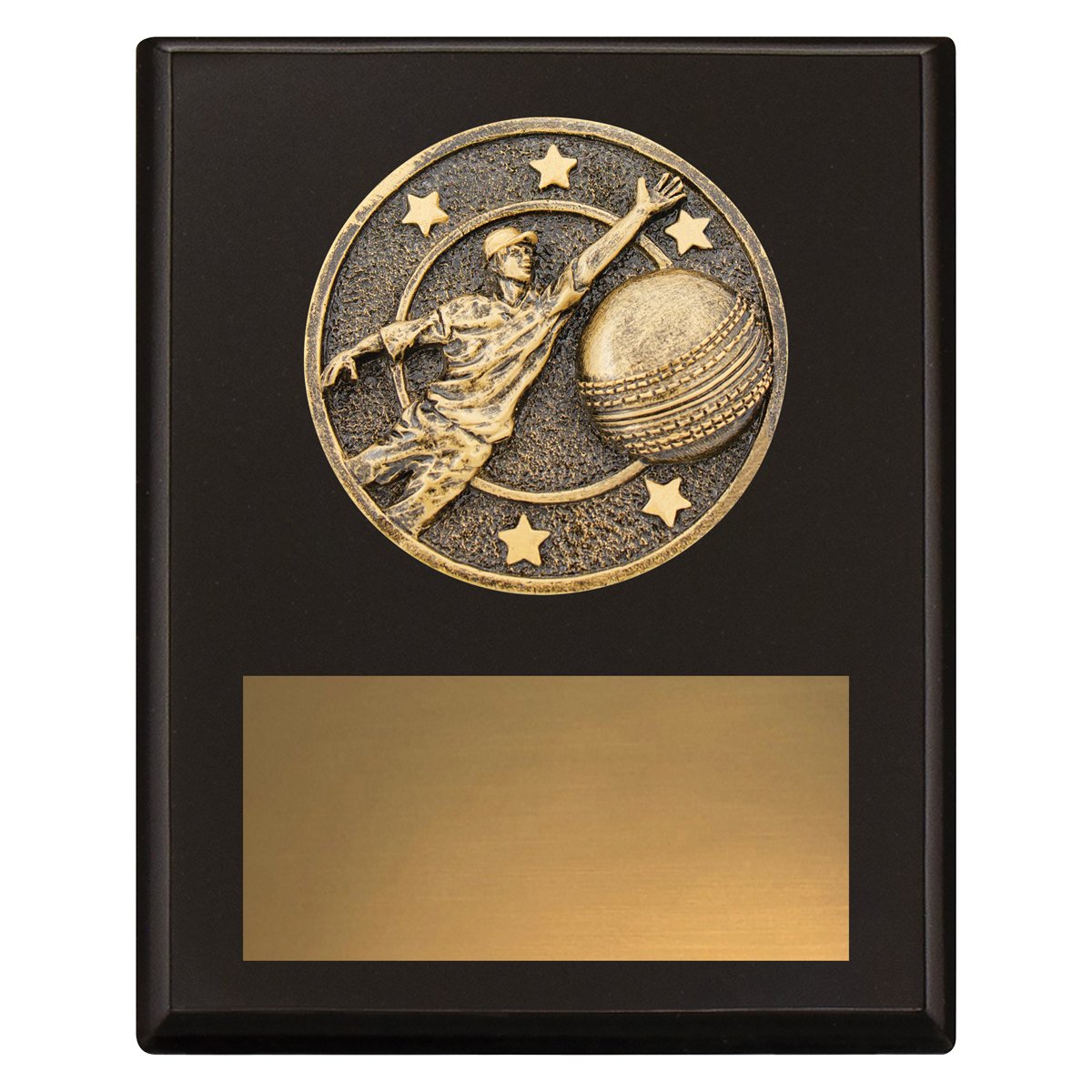 Challenge Plaque – Fielding