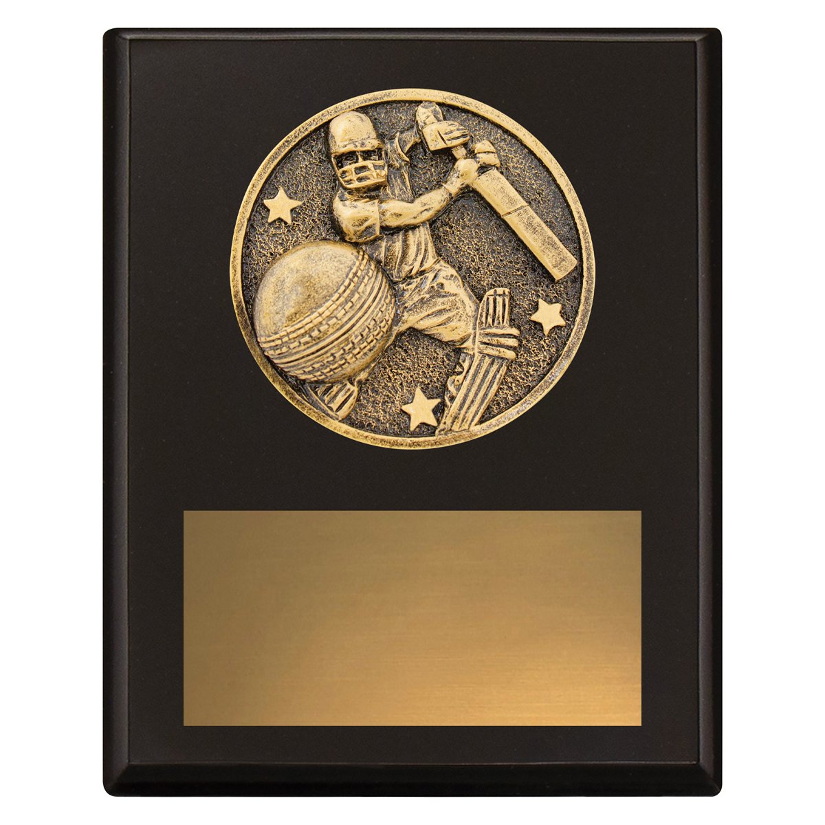 Challenge Plaque – Batting