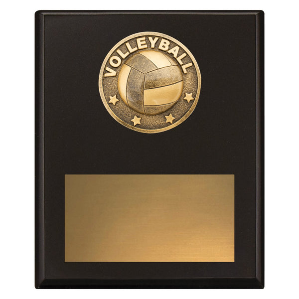 Challenge Plaque – Volleyball
