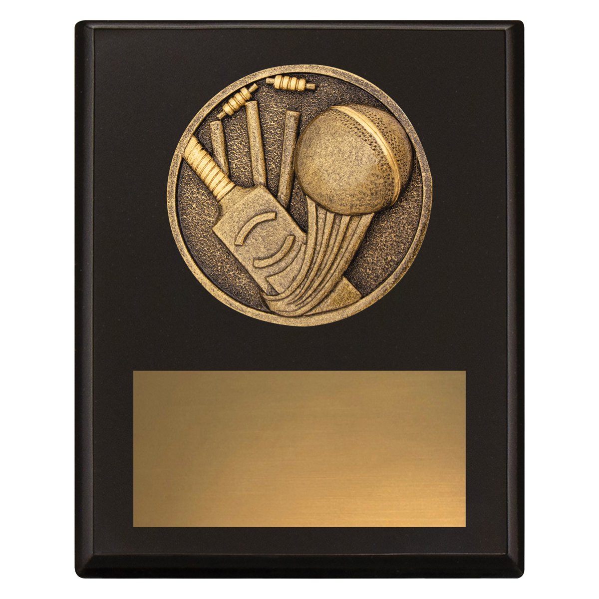 Challenge Plaque – Cricket